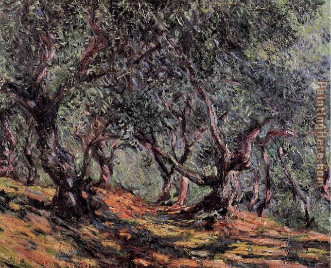 Olive Trees in Bordighera painting - Claude Monet Olive Trees in Bordighera art painting